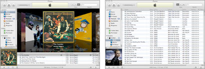 Screenshot of iTunes displays